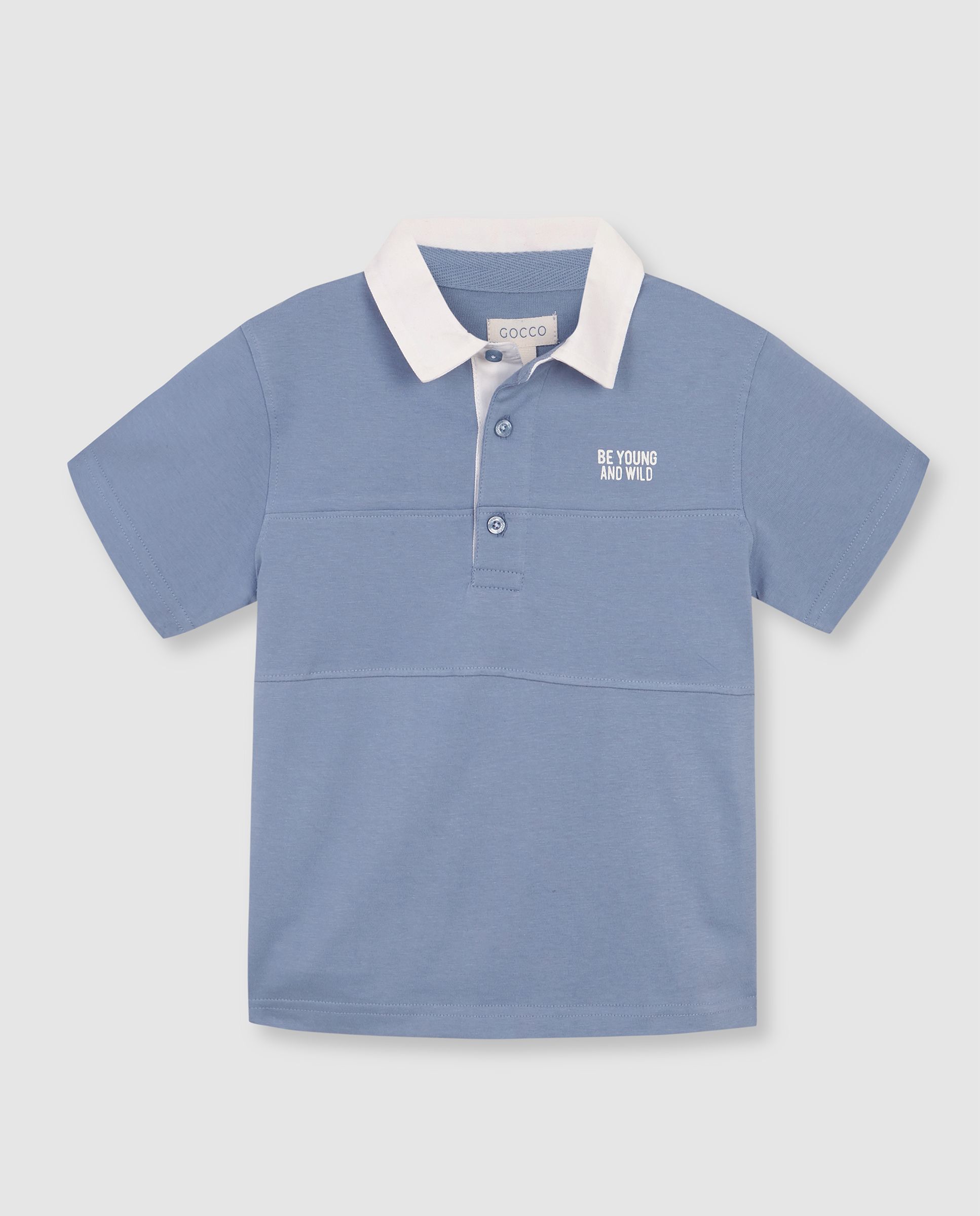  image number 2